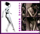 Shalom Harlow nude