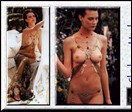 Shalom Harlow nude