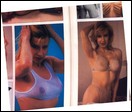 Cynthia Rothrock nude