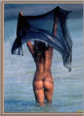 Traci Bingham Nude Pictures