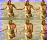 Niki Taylor nude